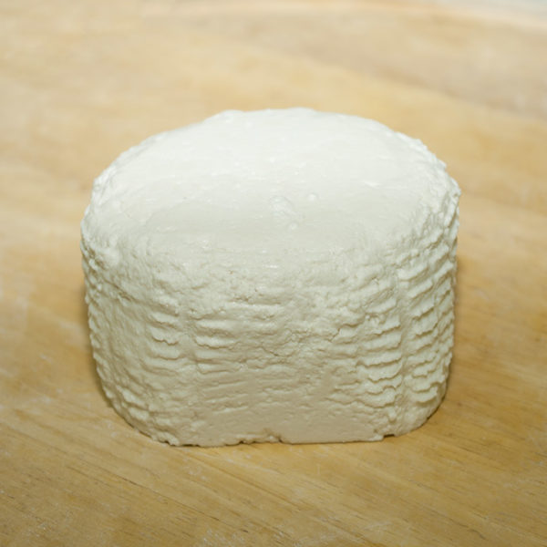 ricotta